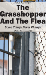 cover of The Grasshopper And The Flea