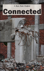 cover of Connected