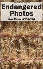 Cover of Endangered Photos: Hay Bales #556-666