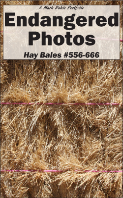 Cover of Endangered Photos - Hay Bales #556-666