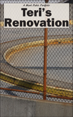 cover of Teri's Renovation