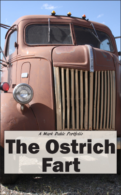 The Ostrich Fart