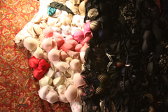 Bra Portrait, ArtPrize 2011